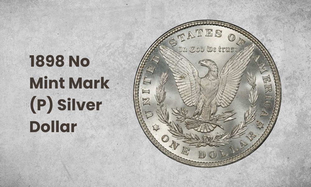 1898 No Mint Mark (P) Silver Dollar