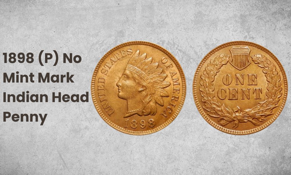 1898 (P) No Mint Mark Indian Head Penny