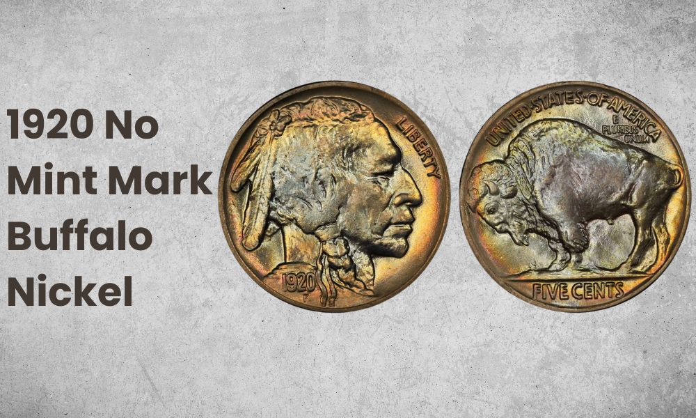 1920 No Mint Mark Buffalo Nickel