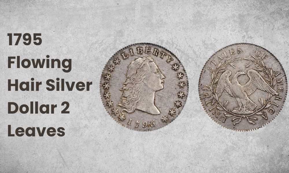 1795 Flowing Hair Silver Dollar 2 Leaves
