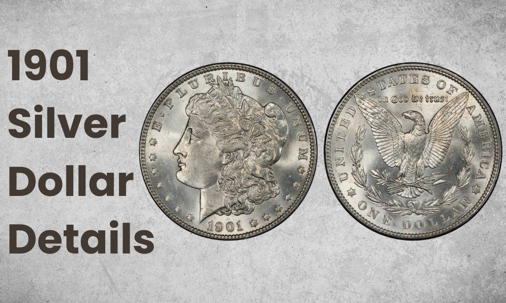 1901 Silver Dollar Details