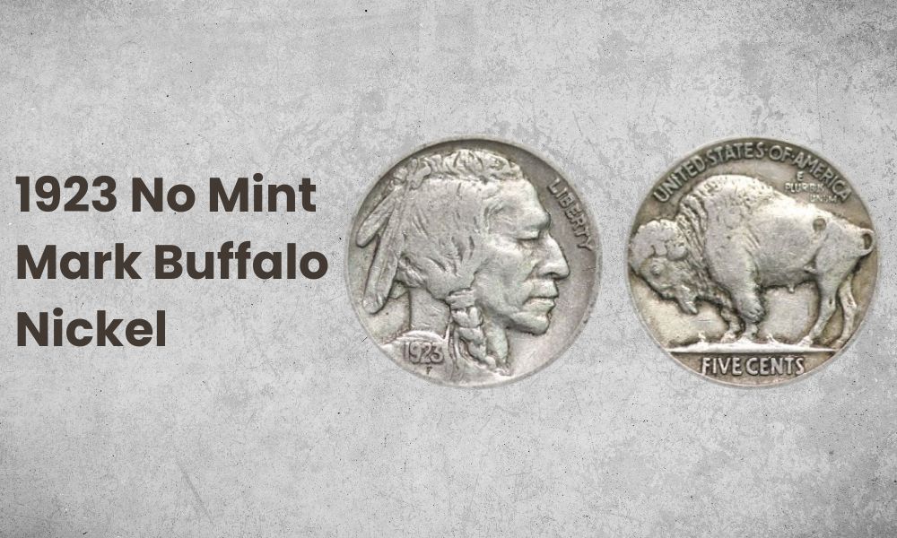 1923 No Mint Mark Buffalo Nickel