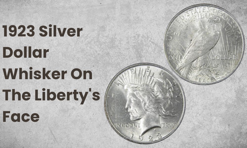 1923 Silver Dollar Whisker On The Liberty's Face