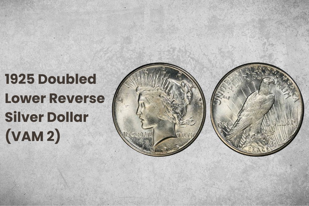1925 Doubled Lower Reverse Silver Dollar (VAM 2)