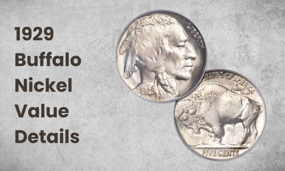1929 Buffalo Nickel Value Details