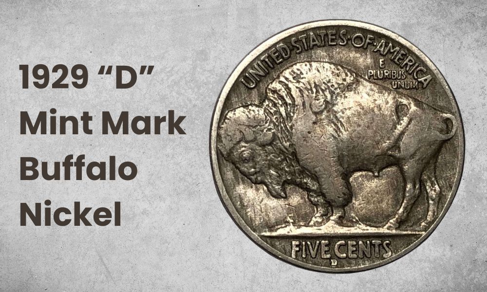 1929 “D” Mint Mark Buffalo Nickel