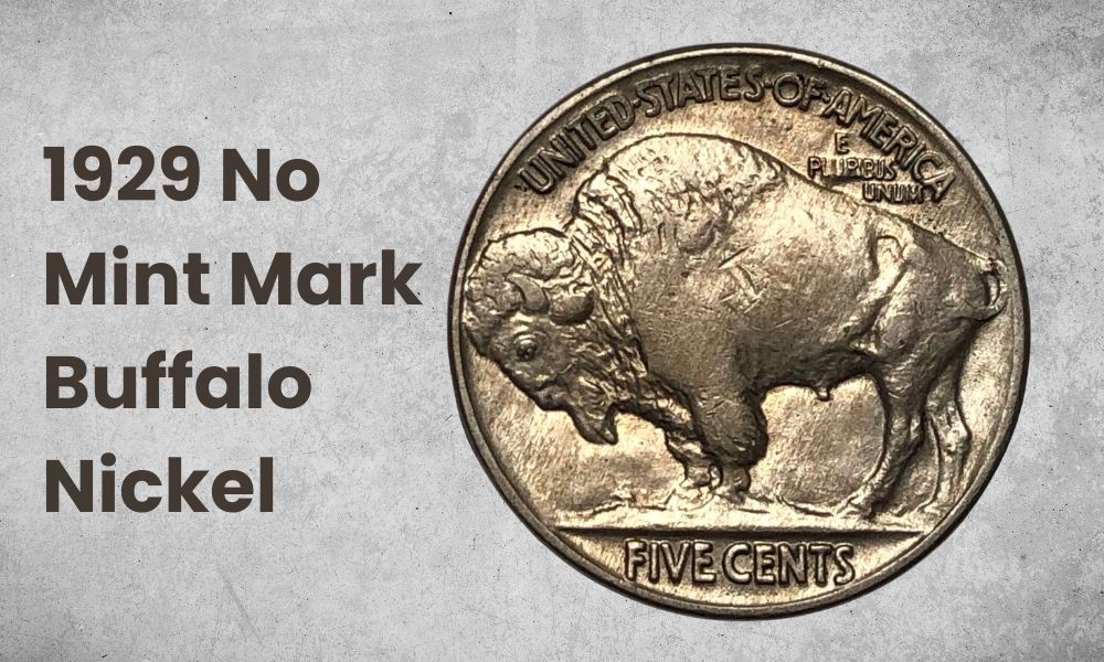 1929 No Mint Mark Buffalo Nickel