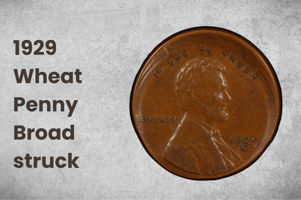 1929 Wheat Penny Broad struck