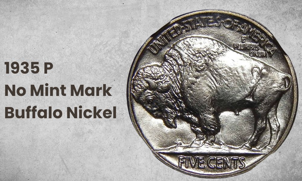 1935 P (No Mint Mark) Buffalo Nickel