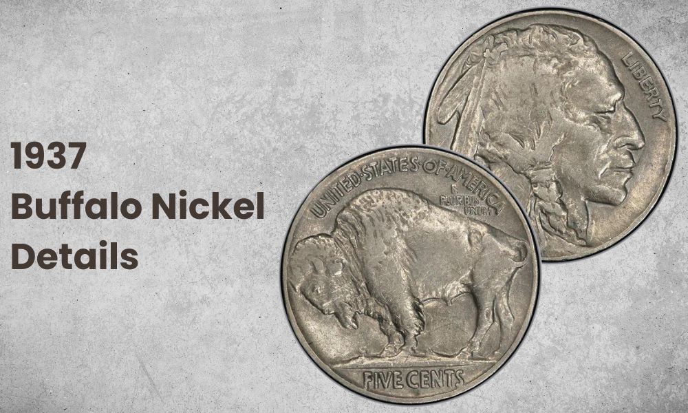 1937 Buffalo Nickel Details