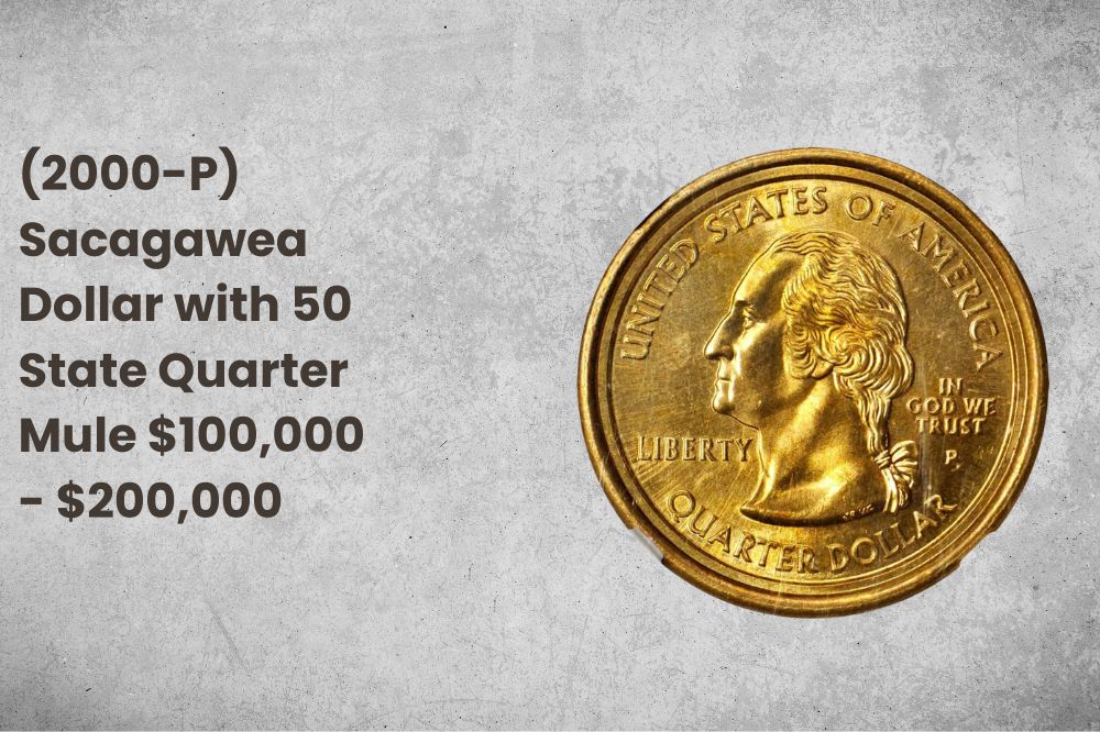(2000-P) Sacagawea Dollar with 50 State Quarter Mule $100,000 - $200,000 