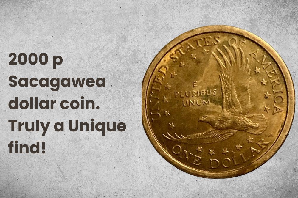 2000 p Sacagawea dollar coin. Truly a Unique find!
