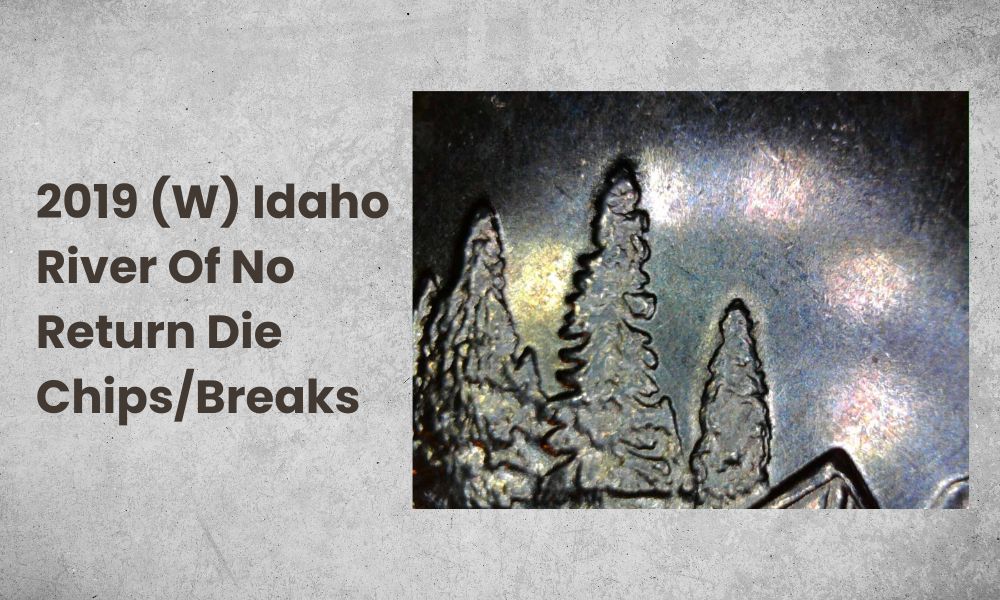 2019 (W) Idaho River Of No Return Die Chips/Breaks