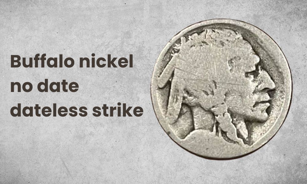 Buffalo nickel no date dateless strike